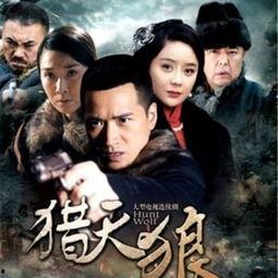 电视剧猎天狼在线观看,揭秘神秘特工的卧底生涯  第2张