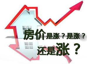哈市房产爆料最新消息新闻,揭秘价格波动与政策影响